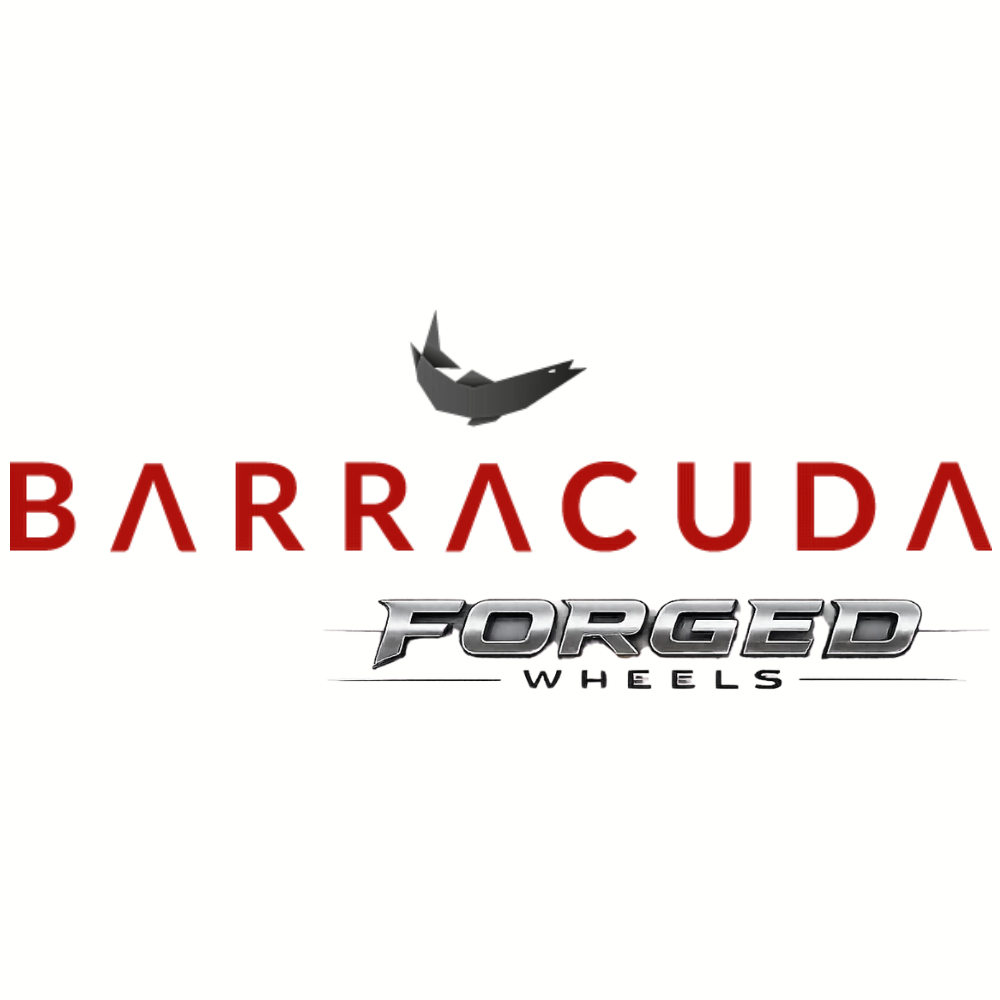 barracuda_forged